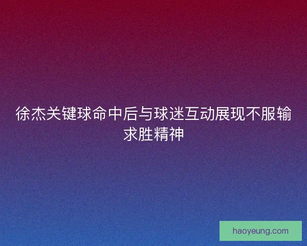 徐杰关键球命中后与球迷互动展现不服输求胜精神